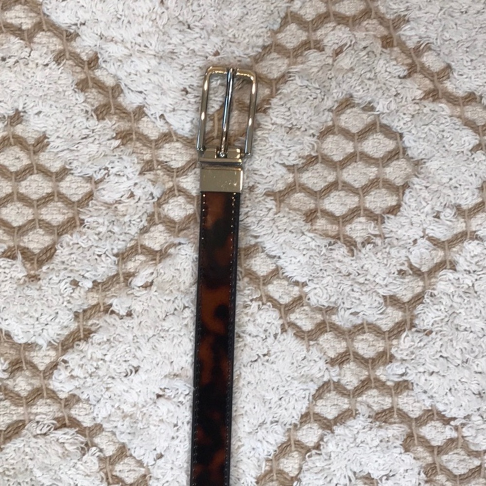 Tortoise and black belt